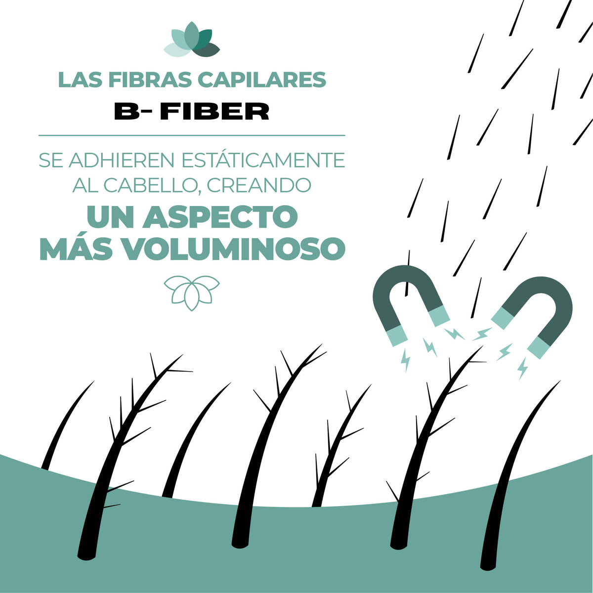 Fibras capilares